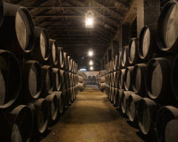 El nuevo Informe del Observatorio Turístico de las Rutas del Vino de España actualiza el perfil del enoturista de nuestro país