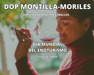 Cata de Vinos DOP Montilla-Moriles