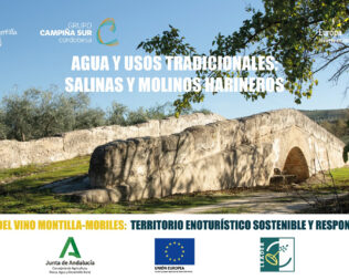 Agua y usos tradicionales: Salinas y Molinos harineros