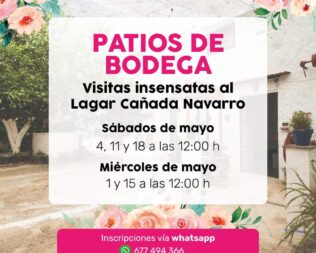 Visitas Insensatas al Lagar Cañada Navarro