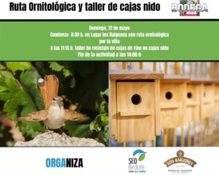 Aves comunes de nuestras viñas: Ruta Ornitológica y taller de cajas nido